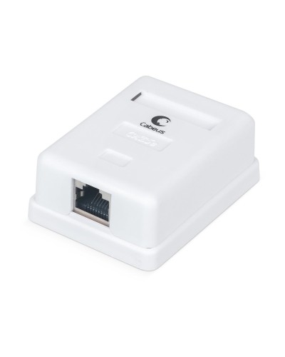 WS-8P8C-Cat.5e-SH-1 (7485c): Розетка RJ-45 в Королеве