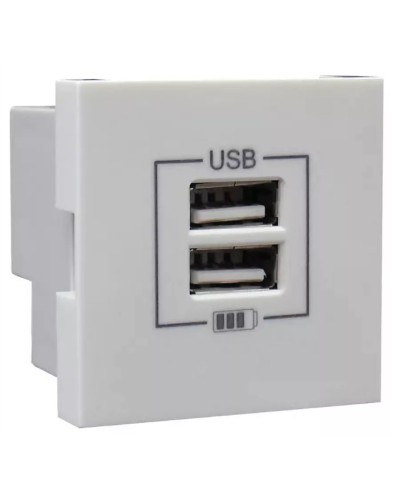 Розетка USB двойная, зарядная, белая (45439 SBR): Розетка USB двойная в Королеве