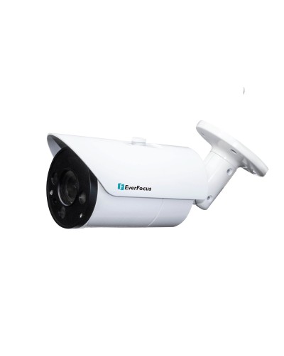EZN-268V. Видеокамера IP купольная. EverFocus в Королеве
