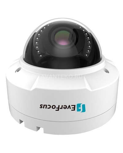 EHN-1250. Видеокамера IP купольная. EverFocus в Королеве