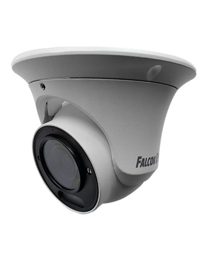 FE-IPC-DV5-40pa. Видеокамера IP купольная. Falcon EYE в Королеве
