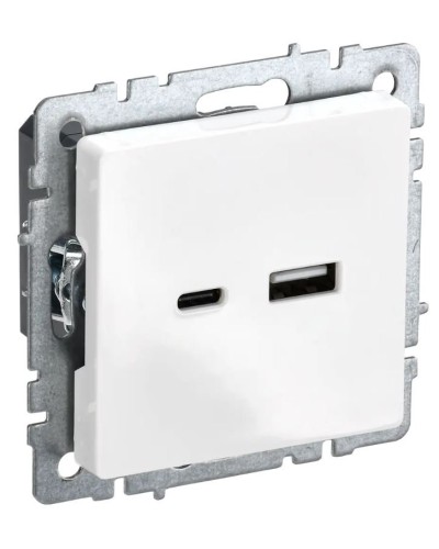 Розетка USB A+C 18Вт РЮ11-1-БрБ белый BRITE (BR-U22-018-K01). Розетка USB. IEK в Королеве