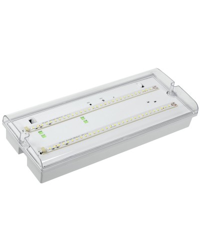 Светильник аварийный ДПА 5042-1 1ч IP65 LIGHTING (LDPA0-5042-1-65-K01). Светильник аварийный универсальный. IEK в Королеве