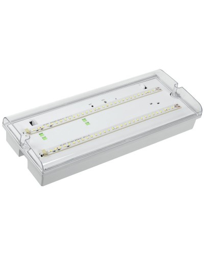 Светильник аварийный ДПА 5042-3 3ч IP65 LIGHTING (LDPA0-5042-3-65-K01). Светильник аварийный универсальный. IEK в Королеве