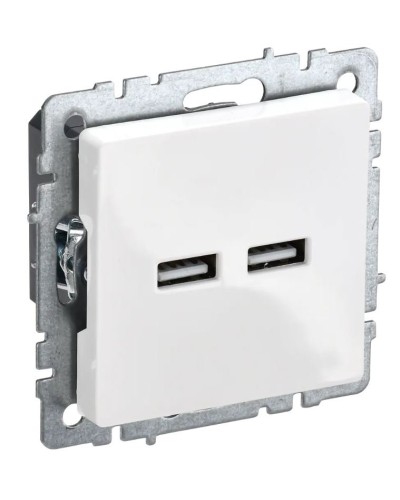 Розетка USB A+A 3,1А РЮ10-1-БрБ белый BRITE (BR-U21-D31-K01). Розетка USB. IEK в Королеве
