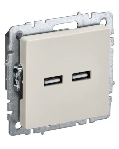 Розетка USB A+A 3,1А РЮ10-1-БрКр бежевый BRITE (BR-U21-D31-K10). Розетка USB. IEK в Королеве