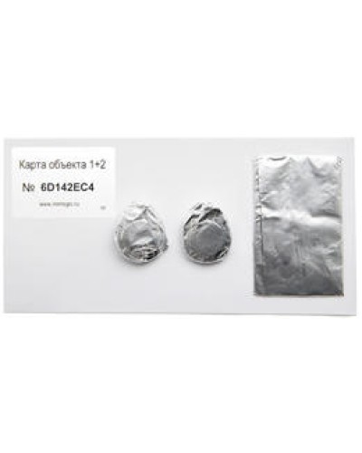 Карта объекта 1+2. Проксимити карта. IronLogic в Королеве