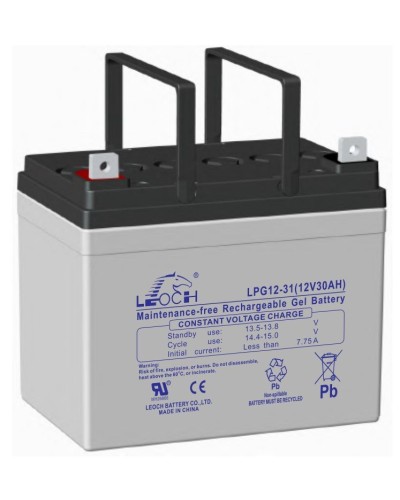LEOCH LPG 12-31. Аккумулятор герметичный свинцово-кислотный. LEOCH в Королеве