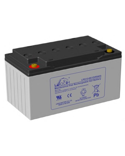 LEOCH LPG 12-65. Аккумулятор герметичный свинцово-кислотный. LEOCH в Королеве