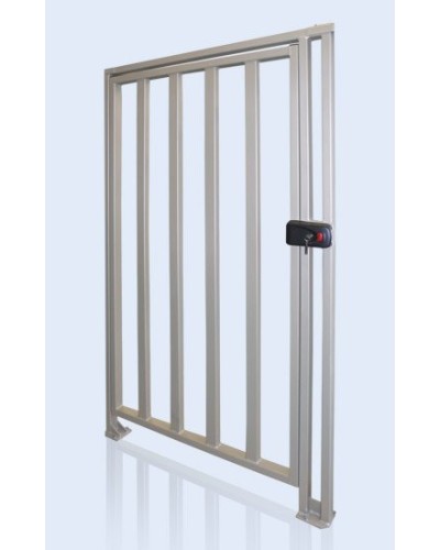 PERCo-WHD-15. Калитка. PERCo в Королеве