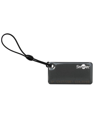 ST-PT015MF-GR. Брелок. Smartec в Королеве