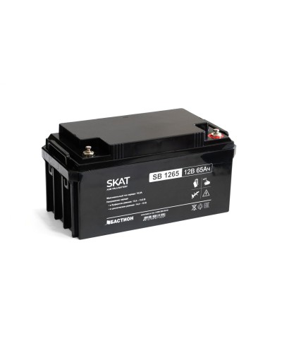 SKAT SB 1265 (2541). Аккумулятор герметичный свинцово-кислотный. Бастион в Королеве