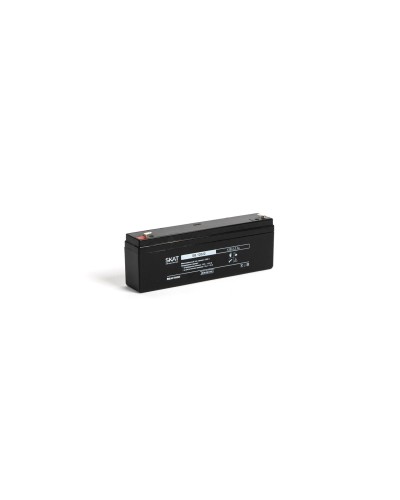 SKAT SB 12022 (2539). Аккумулятор герметичный свинцово-кислотный. Бастион в Королеве