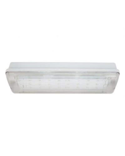 SL-223-30LED1.8 исп. 1, IP65. Светильник аварийного освещения. ИП Раченков А.В. в Королеве