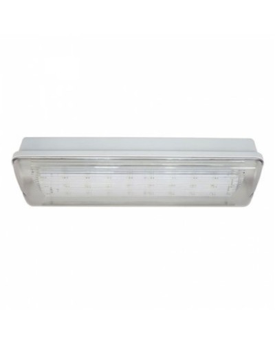 SL-213-30LED1.8 исп.1 IP54. Светильник аварийного освещения. ИП Раченков А.В. в Королеве